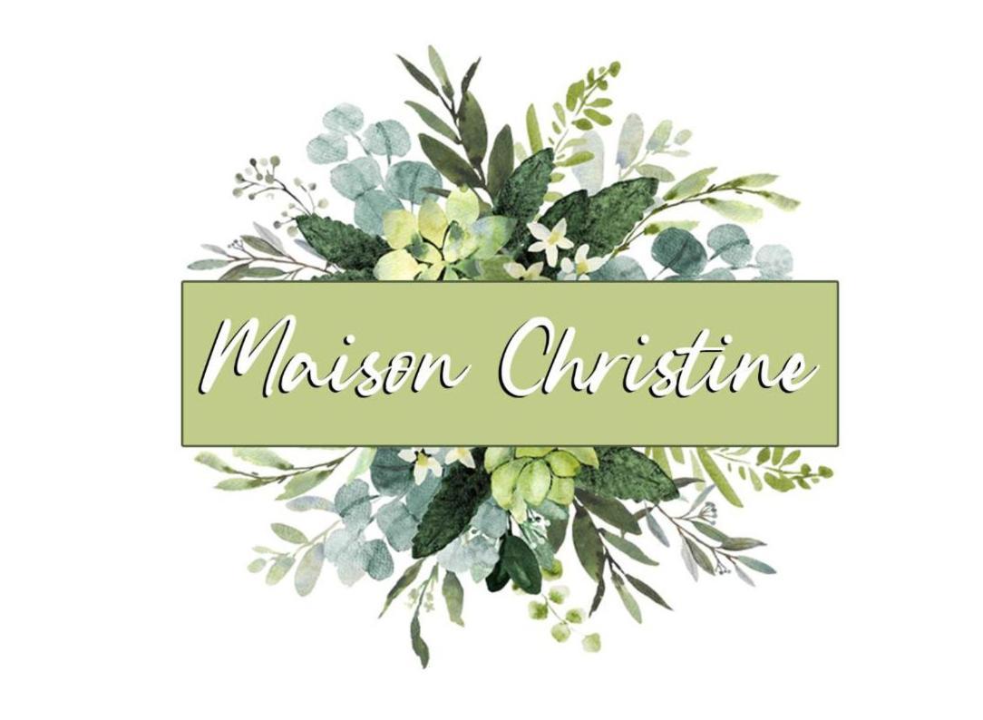 Maison Christine Торино Екстериор снимка